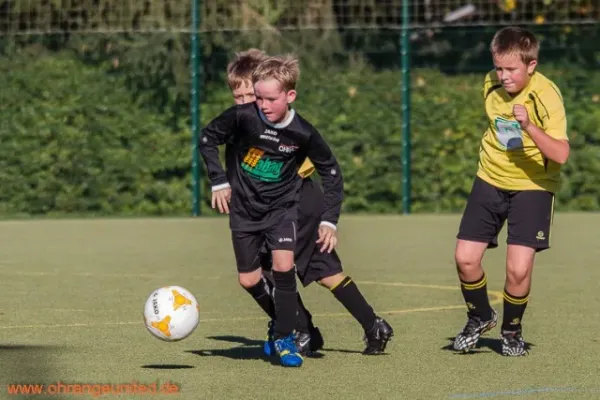 E-Junioren  gegen JFC Nesse-Apfelstädt