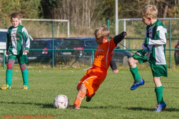 F-Junioren in Catterfeld