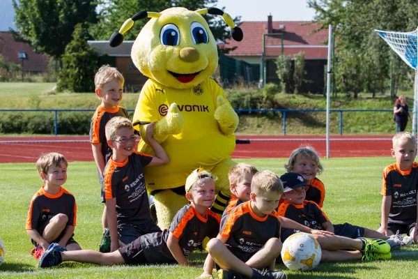 Trainingseinheit mit Jörg Heinrich / BVB