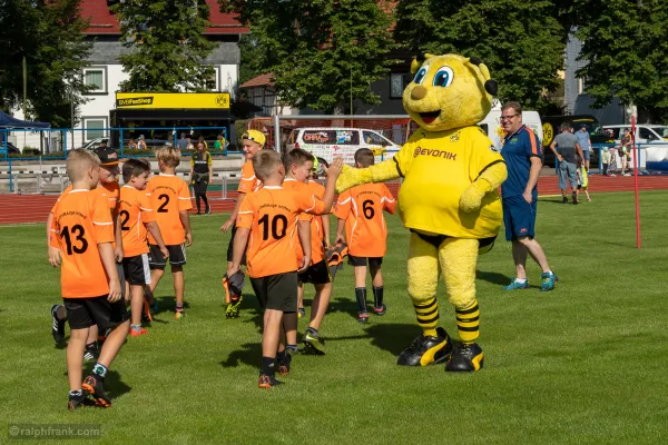 Trainingseinheit mit Jörg Heinrich / BVB