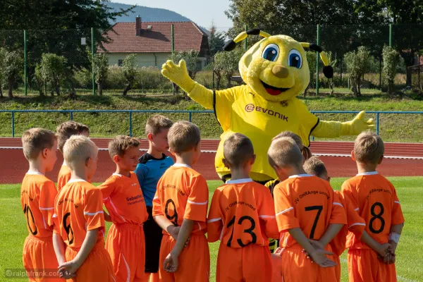 Trainingseinheit mit Jörg Heinrich / BVB